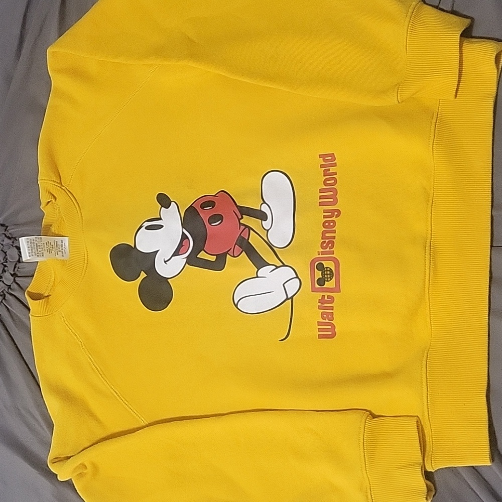 Official Walt Disney kids sweater